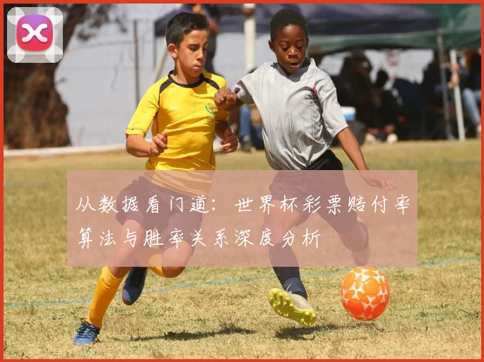 从数据看门道：世界杯彩票赔付率算法与胜率关系深度分析
