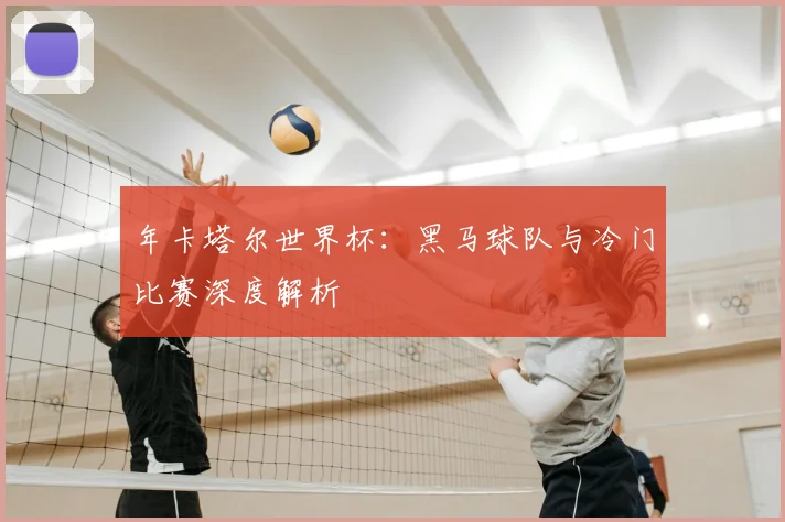 年卡塔尔世界杯：黑马球队与冷门比赛深度解析
