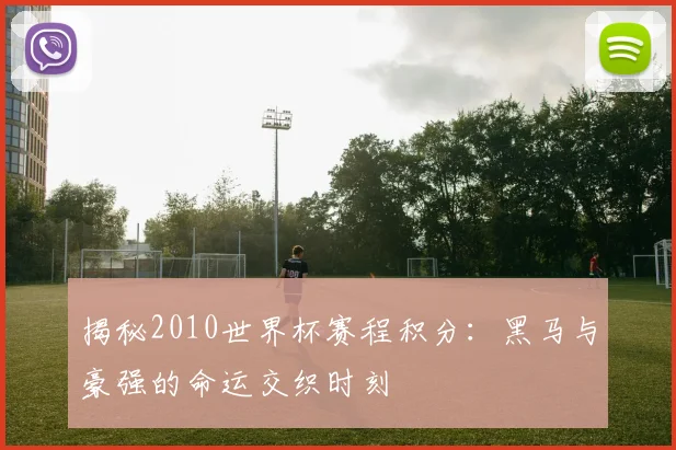 揭秘2010世界杯赛程积分：黑马与豪强的命运交织时刻