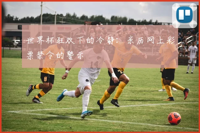 世界杯狂欢下的冷静：亲历网上彩票禁令的警示